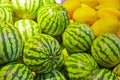 Variety of Watermelons Fruits Placed Bulk at the Market Storefront Royalty Free Stock Photo