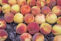 variety of white peaches in a plastic container individually Royalty Free Stock Photo