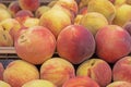 variety of white peaches in a plastic container Royalty Free Stock Photo