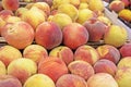 variety of white peaches in a plastic container Royalty Free Stock Photo