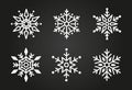 Variety of white snowflakes set