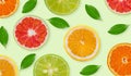 Variety of whole and sliced citrus fruits , lemon, lime,grapefruit and orange Royalty Free Stock Photo