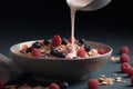 A bowl of muesli breakfast cereal and milk with berries AI generated Royalty Free Stock Photo