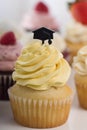 Variety Of Yummy Graduation Cupcakes