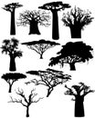 Various African trees - vector Royalty Free Stock Photo
