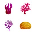 Various algae icons set cartoon vector. Colorful seaweed and coral