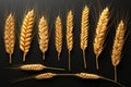 Various angles highlight a set of different wheat specimens