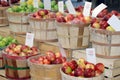 Various Apples Royalty Free Stock Photo