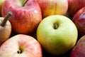 Various apples Royalty Free Stock Photo