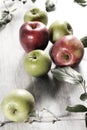 Various apples on a wooden tabletop Royalty Free Stock Photo