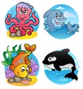 Various aquatic animals and fishes