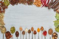 Various aromatic Indian spices on the gray kitchen table: star anise, fragrant pepper, cinnamon, asafoetida, turmeric, nutmeg Royalty Free Stock Photo