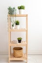 Various artificial succulents plants stand in white ceramic pots on a wooden shelf against a white wall. Royalty Free Stock Photo