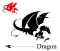 Artistic Flying Attacking dragon in black