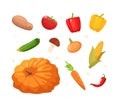Various autumnal vegetables semi flat RGB color vector illustration set Royalty Free Stock Photo