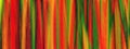 Various background colors created on the computer
