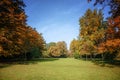 Various beautiful autumn trees with colorful leaves in an old park, seasonal nature background with copy space Royalty Free Stock Photo