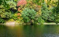 Various beautiful autumn trees near the water in the early morning in the fall Royalty Free Stock Photo