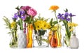 Various beautiful flowers in vases on white background