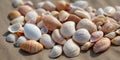 Various beautiful pastel coloured clamshell Gorgeous pastel colors seashells at the beach Background top view of shells. Royalty Free Stock Photo