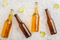 Various beers chilled for party. Cold glass bottles with beer in ice with lime