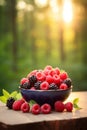 Various berries in a bowl against the backdrop of the garden. Selective focus. Royalty Free Stock Photo