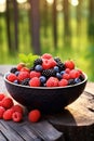 Various berries in a bowl against the backdrop of the garden. Selective focus. Royalty Free Stock Photo