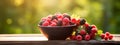 Various berries in a bowl against the backdrop of the garden. Selective focus. Royalty Free Stock Photo