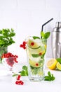 Various berry lemonade or mojito cocktails, fresh iced lemon lime , Red currant infused water, summer healthy detox drinks