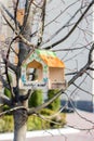 Various bird feeders on the territory of the Lyceum in Kiev in Troyeshchina. Creativity of children