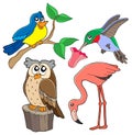 Various birds collection 02 Royalty Free Stock Photo