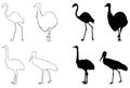 Various birds silhouette - group of endothermic vertebrates, characterised by feathers, toothless beaked jaws, the laying of hard-