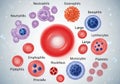Various blood cells, including red blood cells (erythrocytes), Royalty Free Stock Photo