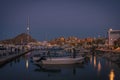 Various boats and yachts moored at the marina in Los Cabos, Baja California