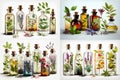 Various Bottle of essential oils and essences of fresh, (Created with Generative AI technology) Royalty Free Stock Photo