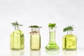 Various Bottle of essential oils and essences of fresh plants Royalty Free Stock Photo