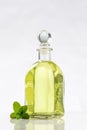Various Bottle of essential oils and essences of fresh plants Royalty Free Stock Photo