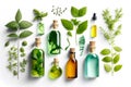 Various bottles with essential oils and medicinal herbs on white background. Top view. Generative AI Royalty Free Stock Photo