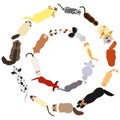 Cats and dogs round frame set Royalty Free Stock Photo