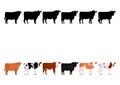 Various cows in a row