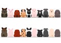 Various breeds of pigs front and back border set Royalty Free Stock Photo