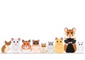Various breeds hamsters in a row Royalty Free Stock Photo