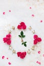 Various pink and red roses and buds making the shape of a clock Royalty Free Stock Photo