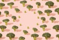 Various broccoli flowers pattern on a pastel pink background. Royalty Free Stock Photo