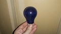 Various bulbs for lighting, incandescent, LED