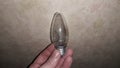 Various bulbs for lighting, incandescent, LED