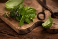 Various bundles of fresh herbs on a wooden background