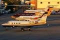 Various business jets standing at Sheremetyevo international airport.