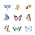 Various butterfly watercolor design illustration for decorative use