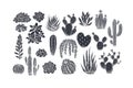 Various cactus collection. Vintage silhouette linocut style illustration. Succulent set. Vector illustration